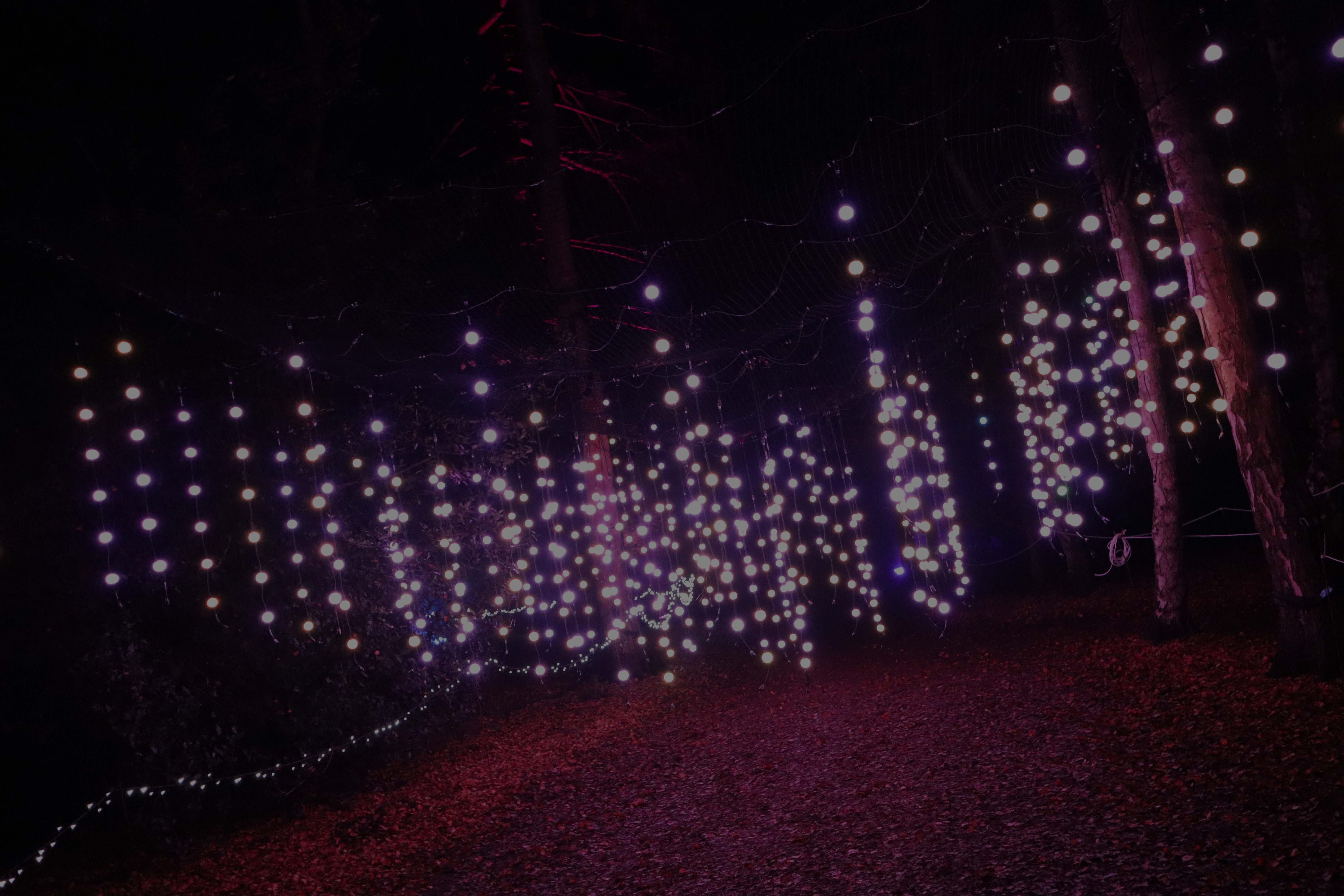 Pearl Lights